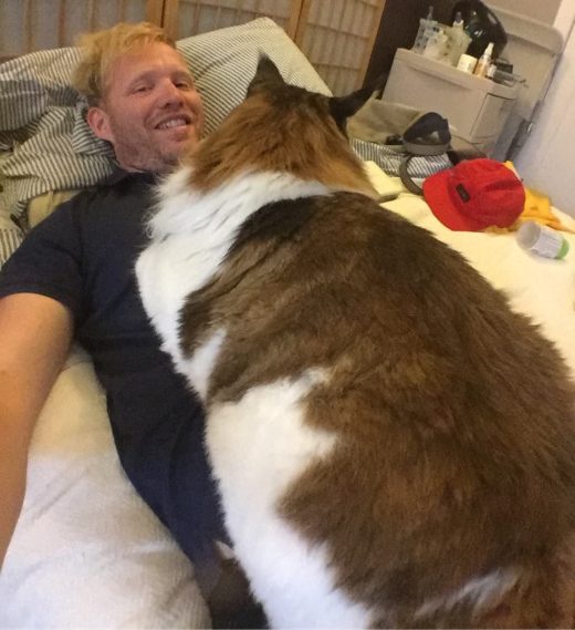 Пользователи соцсетей нашли самого большого кота в Нью-Йорке