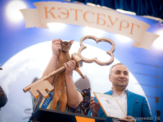 Международная выставка кошек «Кэтсбург-2017» состоится 4–5 марта в Московском выставочном центре «Крокус Экспо» (1-й павильон, 4-й зал).