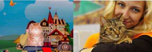 Международная мультисистемная выставка кошек Кэтсбург-2018 состоится 3–4 марта 2018 г. в Москве в МВЦ «Крокус Экспо» во 2-й павильоне в зале 11